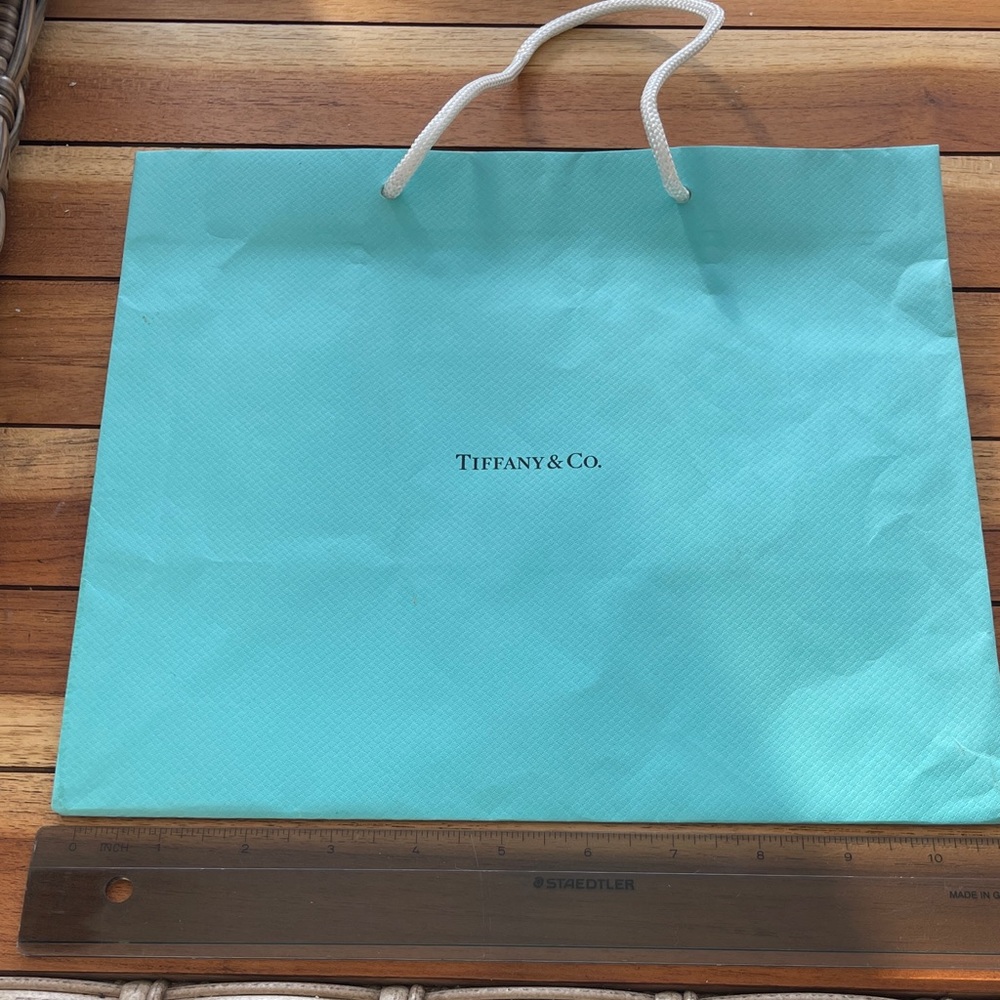 Tiffany & Co. Turquoise Gift Bag